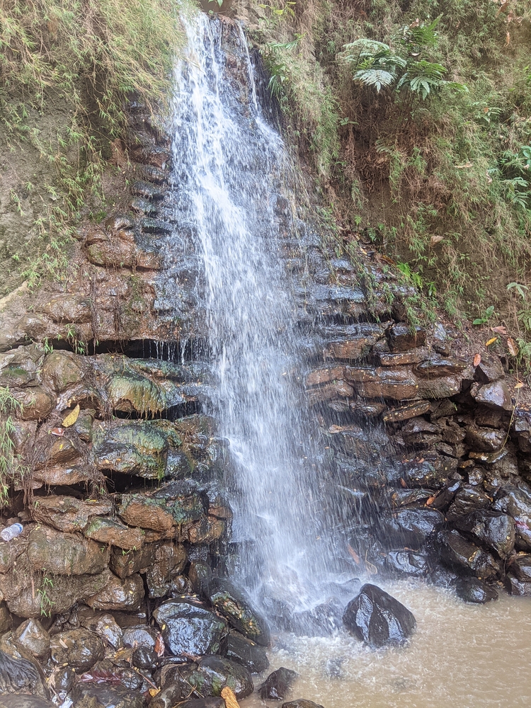 Local Attraction Image